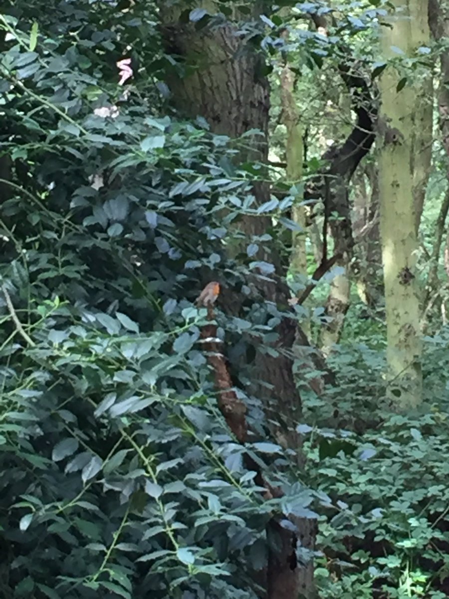 WGreeny5's tweet photo. Exploring #natureone2017 @Natures_Voice https://t.co/DHHU2TbOtD