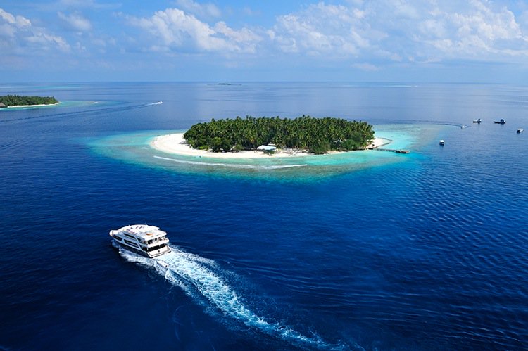 Fantastic Dive Holiday Adventure In #Maldives :  medium.com/@maldive_divin…  
#liveaboard  contact at : info@maldivesdivingadvenutre.com