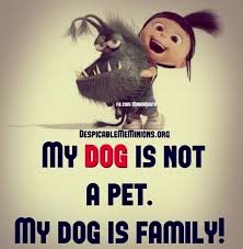 Haily Capwell (@capwellhero) on Twitter photo 