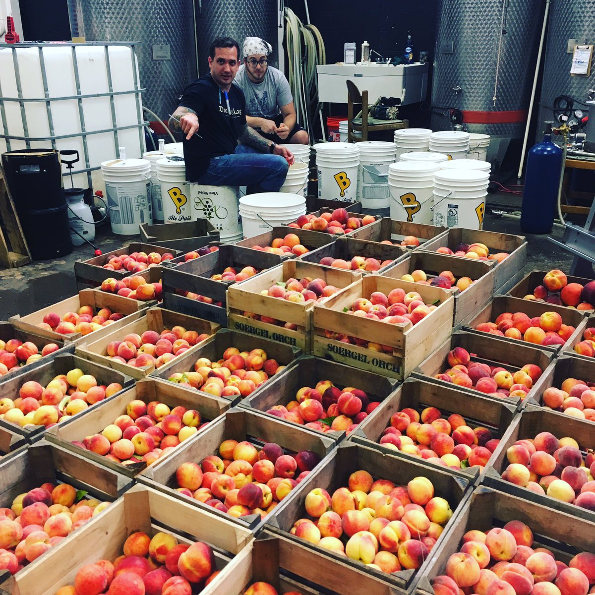Special delivery! Noah just dropped off 1,000lbs of #peaches from <a href="/SoergelOrchards/">Soergel Orchards</a>. We should have a delicious 🍑 saison for you soon!