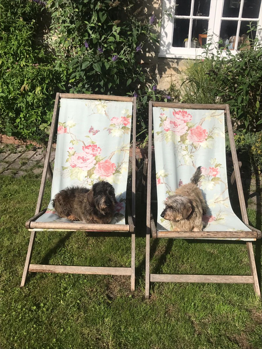 Flossie&Bumble tweet media