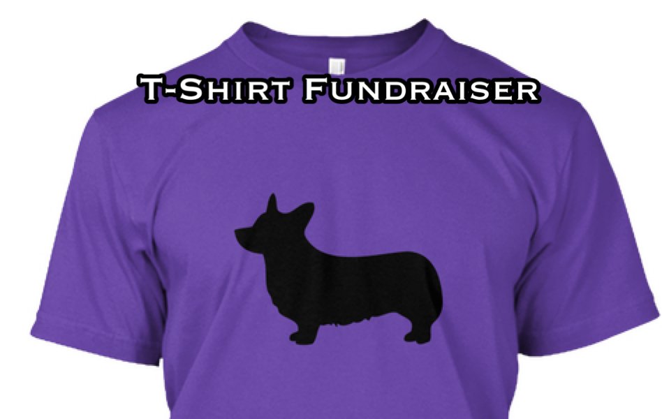 TeeSpring will be offering classic corg T's in Aug. Proceeds will benefit QBSDR. Support special needs corgs!! bit.ly/2uySbVm