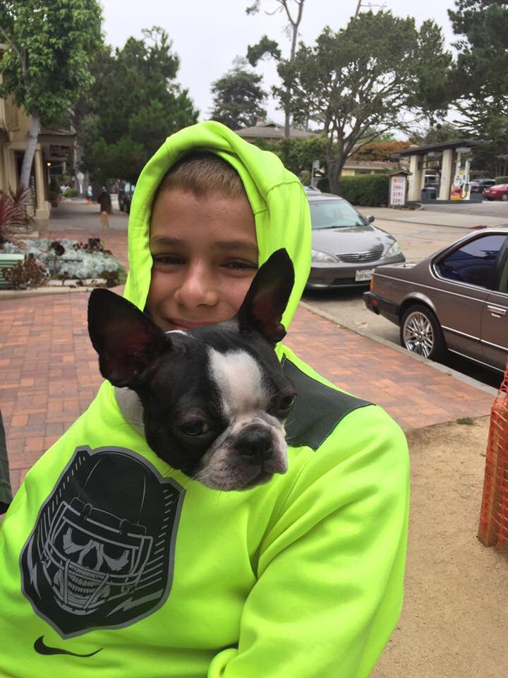 Justin Mendonca tweet media