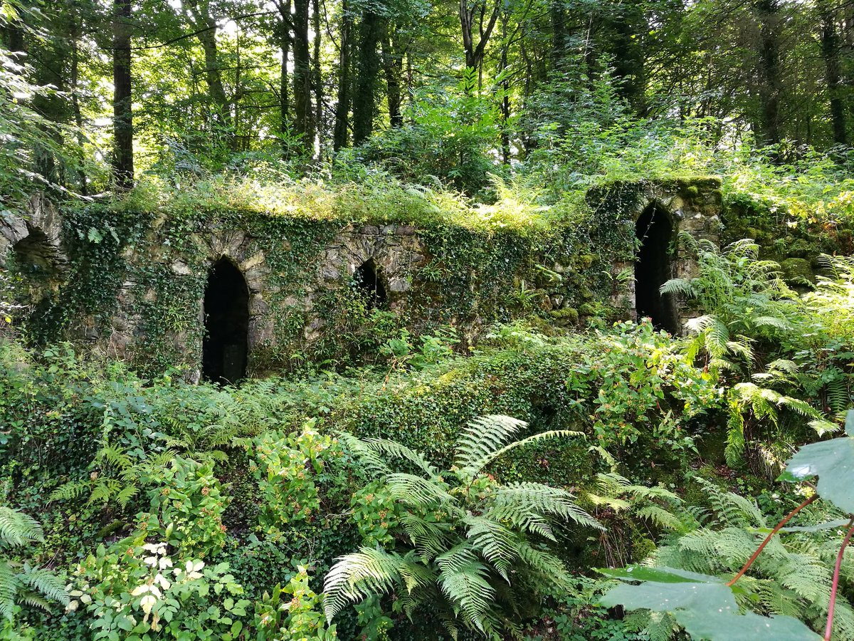 SianMJones1's tweet photo. Had a lovely day exploring in Wales's hidden secret. It certainly lives up to its name. @ParcGlynllifon @ItsYourWales @visit_snowdonia https://t.co/9S6nhmP66s