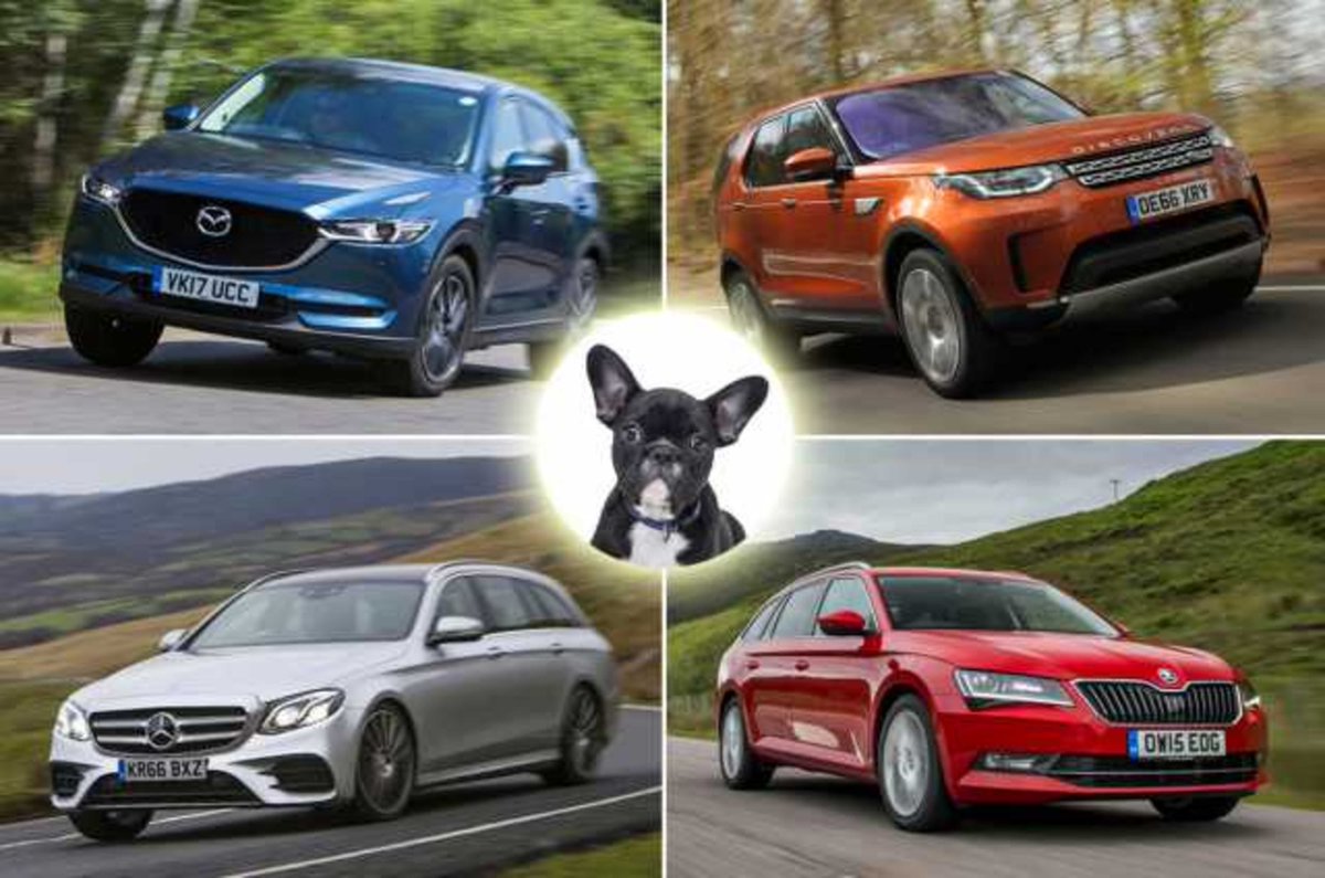 Do you own a dog? Here are the best cars for our four-legged friends buff.ly/2vbrN7n