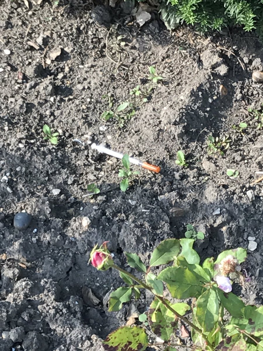 I found this delightful item in the rose garden at Chalkwell park yesterday @SouthendBC pls remove. #junkie #Westcliff #Southend