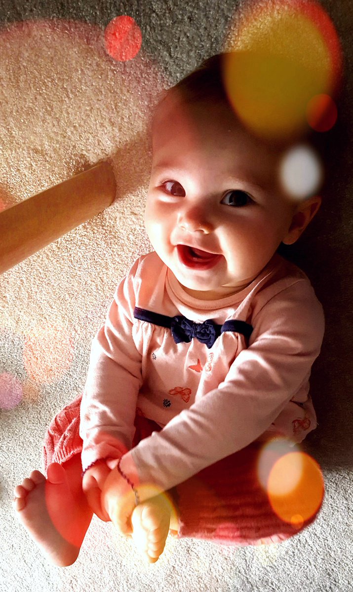 BabySweetBRAND's tweet photo. My name is Élodie and I am officially the #worldscutestbaby https://t.co/3oFoOtRbU5