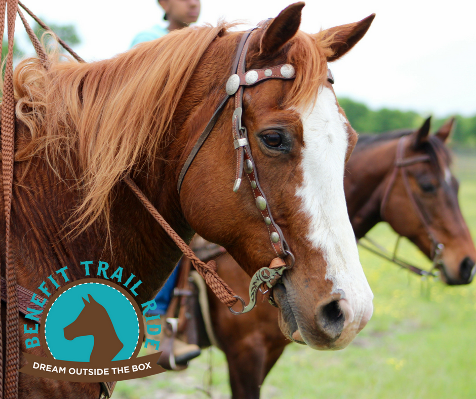 dreamoutside's tweet photo. Our 4th annual benefit trail ride is fast approaching! Bring your horse out for a fun day with family and friends! https://t.co/eCCdb2Byw4 https://t.co/SbLvU0PHTL