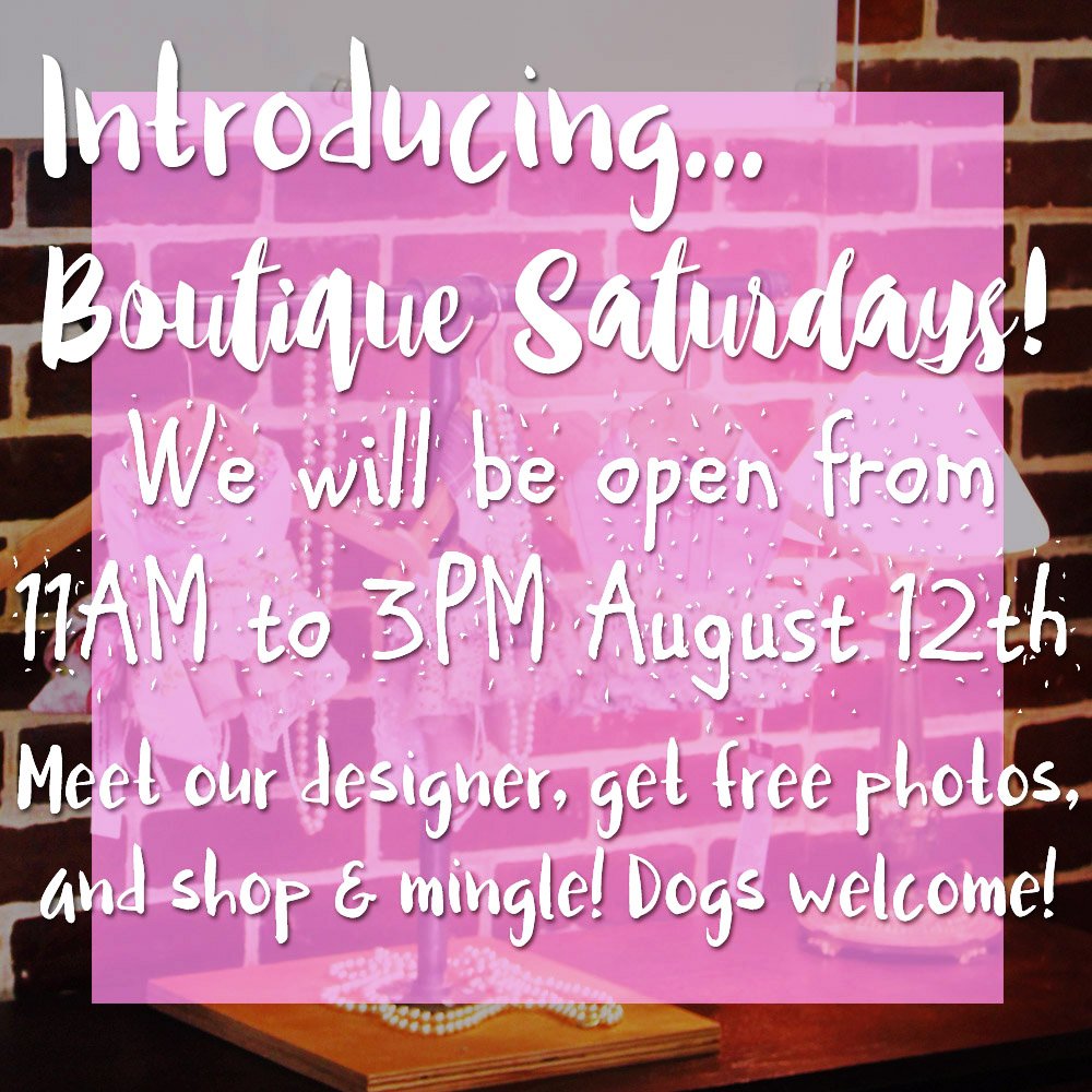 TweetMisterMigs's tweet photo. ✨SPECIAL ANNOUNCEMENT✨Come to our boutique Saturday, August 12 for our first open studio day! Shop, mingle, get to know us! #atlanta #dogs https://t.co/li3MYsjEun