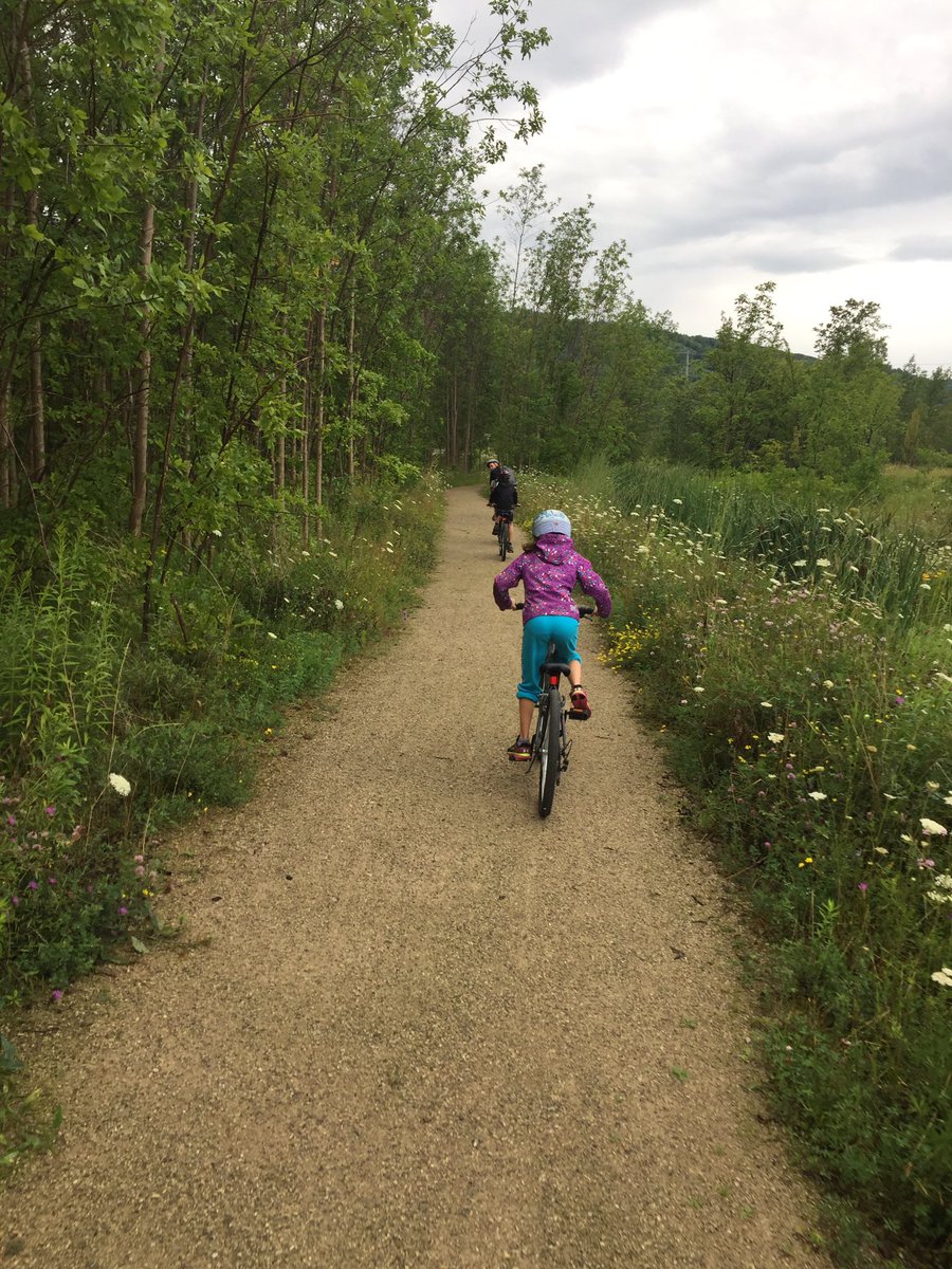 mmortimer4's tweet photo. Biked 13km #georgiantrail #30x30challenge @OntarioParks https://t.co/yQmChO5TEF