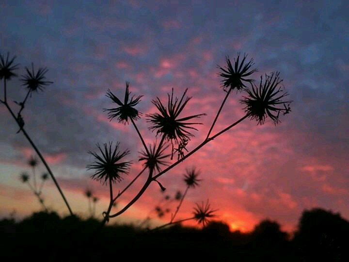 TestBin2's tweet image. At UPES, even if you&apos;d had a very tiring day the scenic beauty always helps you to end it with with a positive
thought.

Wow what pic.
#UPES
