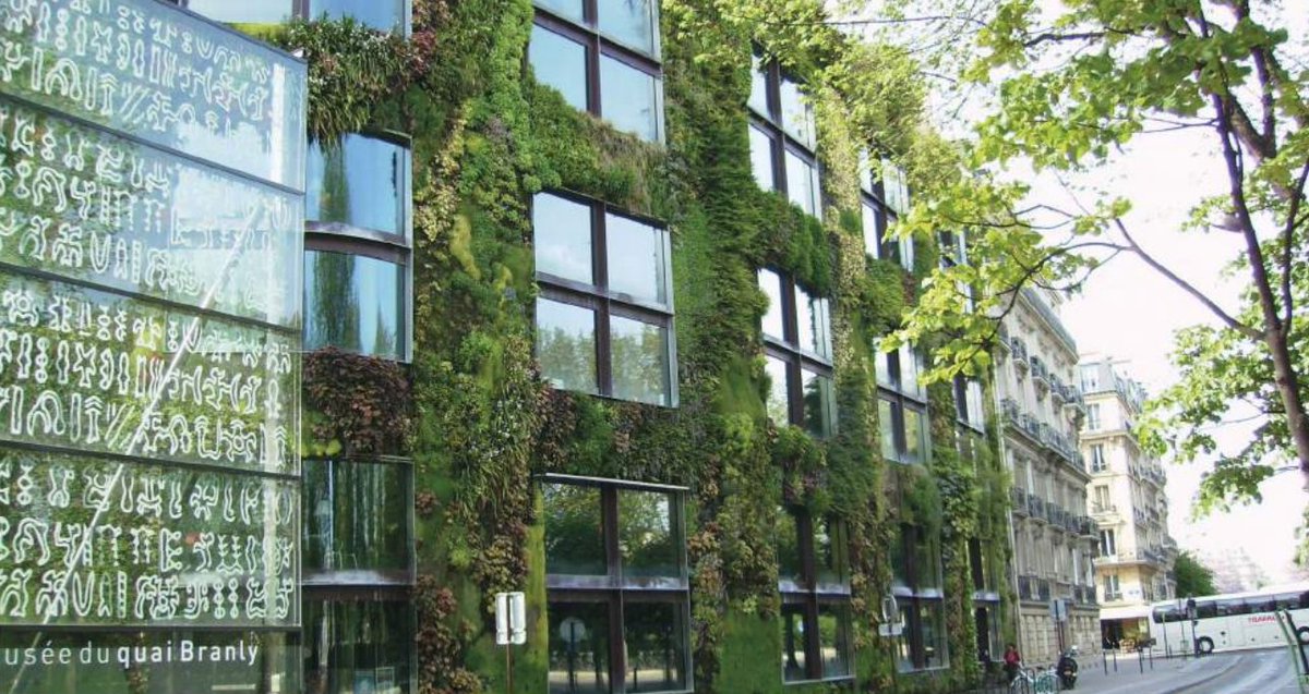 #interview au pied du #mur (#végétal) par Urban beast qui a aussi approché #PatrickBlanc.  #vegewall #greenwall po.st/5CJdWi