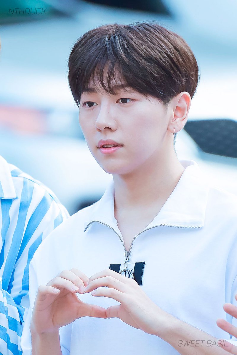 SweeT_Basil's tweet photo. 170804
 #노태현 #핫샷 #hotshot #JELLY #뮤직뱅크 출근길

멍- 💓
뾱! 💖
헿ㅎ💕 https://t.co/W0Uk7TlXfq