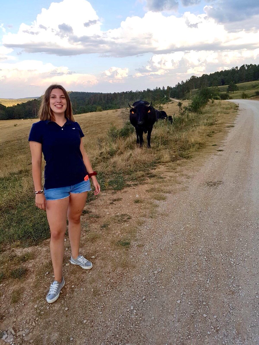 anavalero_cf's tweet photo. Os presento a mi nuevo fichaje, la vaca Paca. Aspira alto, os iré informando 👀🐮 https://t.co/2YINanPkhz