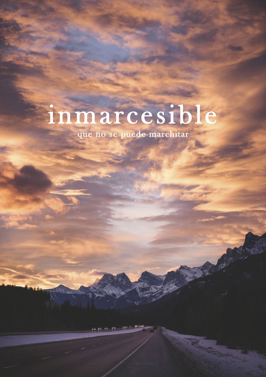 SymbolicMag's tweet photo. n o s t a l g i a   |   i n m a r c e s i b l e https://t.co/pn3QZ8korG