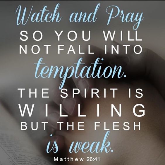 MinistryNoLimit's tweet photo. Watch and Pray so you will NOT fall into temptation. The spirit is willing, but the flesh is weak. #Mat26:41
#TrustJesus #ReadingWithJoost https://t.co/IaxjVK9Ems