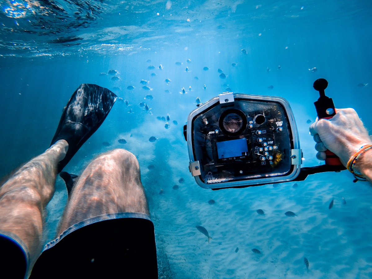 LocationVideo's tweet image. We love shooting underwater. #hotelvideo #hotelmarketing #videomarketing #resortvideo #travel #travelvideo