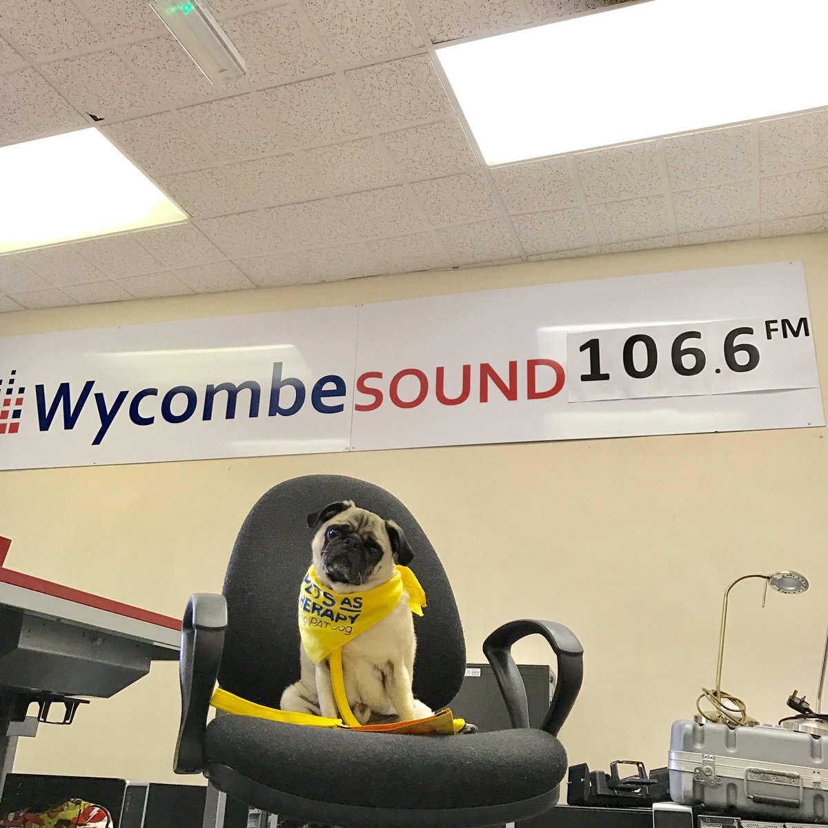 DougPugTherapy's tweet photo. Arriving at @WycombeSound for our interview with @HuxleyandHowe to talk about our work with @PetsAsTherapyUK https://t.co/Gsdhzck9Vl