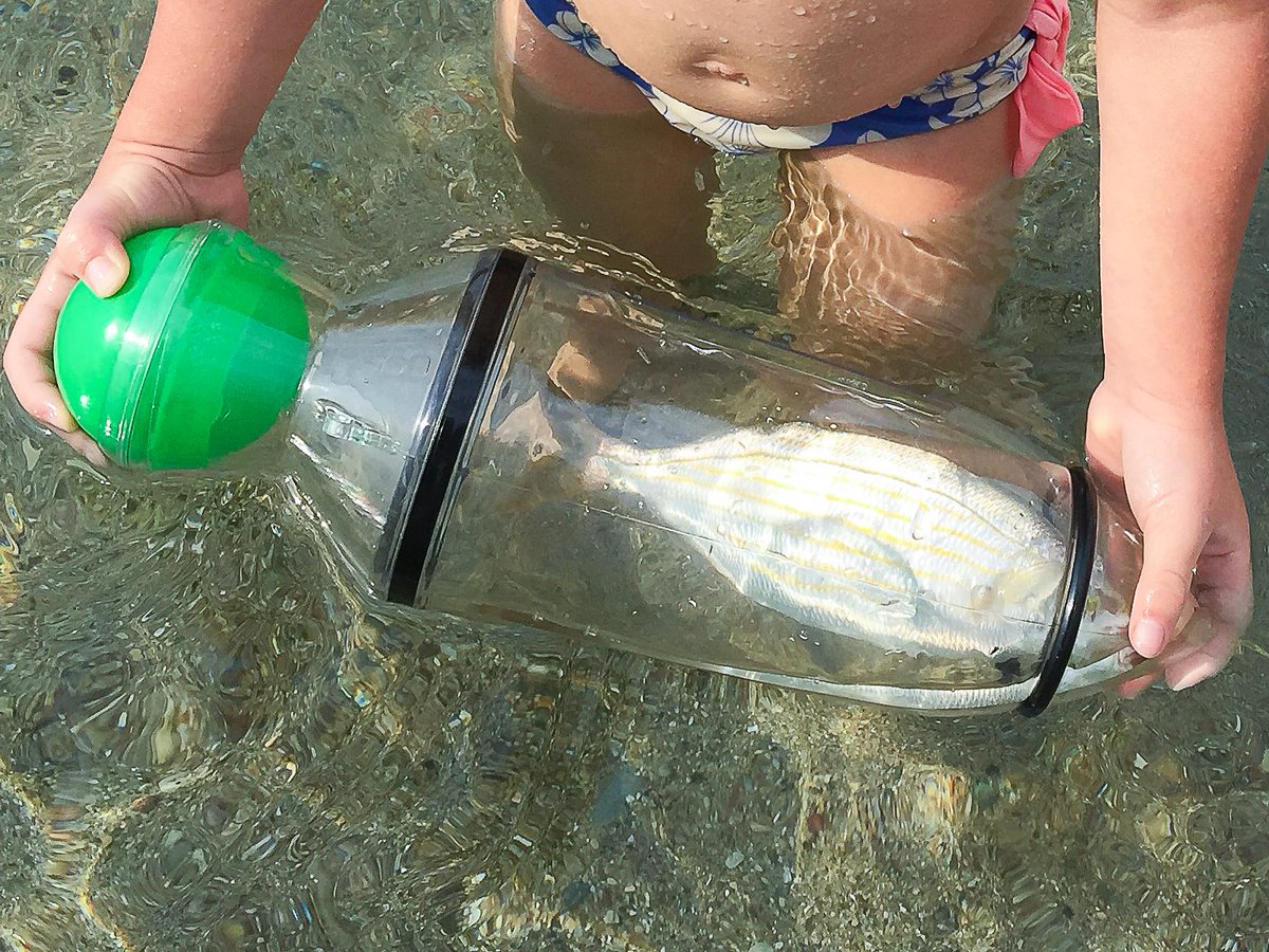 ITMjuanlespins's tweet photo. Si mm 1 exploratrice de 3 ans y arrive vs pouvez pas passer à côté! On attend des photos de vos prises🐟#snorkeling #juanlespins #babaplaya https://t.co/igGDVbZC4Q