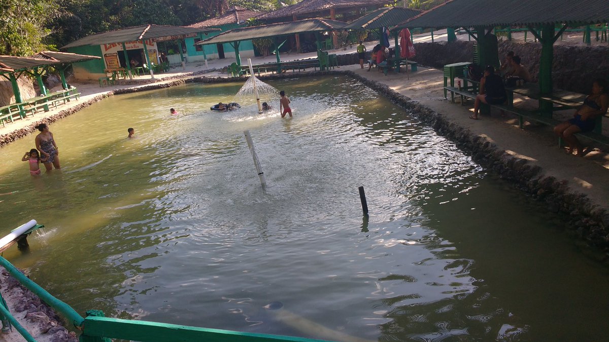 Zenaide Avelar . (@zanaideavelar) on Twitter photo 