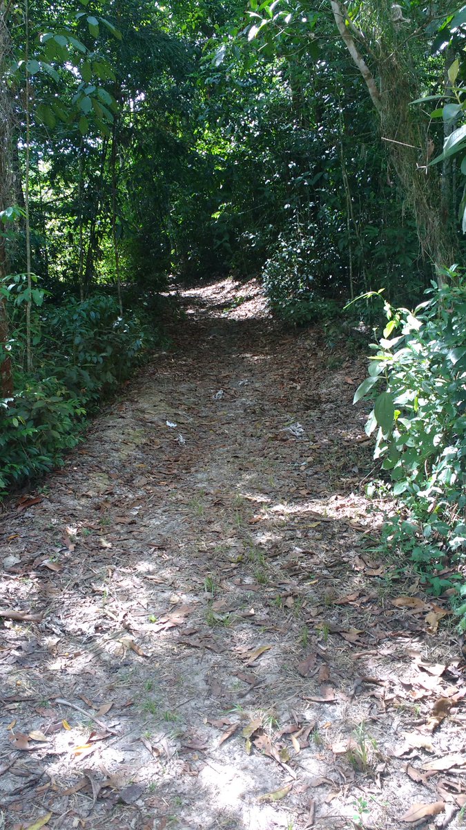 Zenaide Avelar . (@zanaideavelar) on Twitter photo 