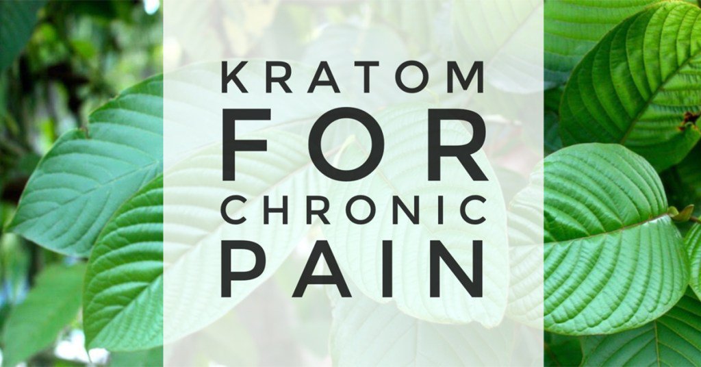 gtothevieve's tweet photo. Kratom for Chronic Pain https://t.co/fDpJXgfJtI https://t.co/leMYWc0kTG