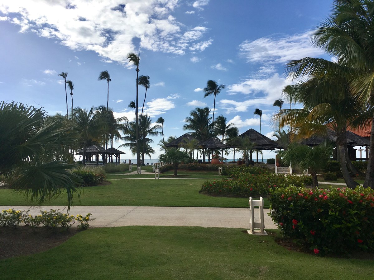 MeliaCocoBeach's tweet photo. Lunes maravilloso en #MeliaCocoBeach, hermosa mañana para todos! https://t.co/WZPZTtQNt4