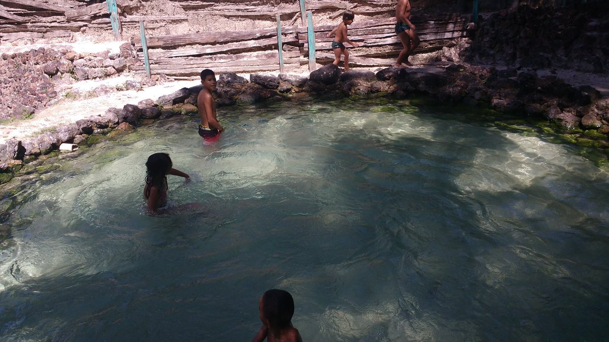 Zenaide Avelar . (@zanaideavelar) on Twitter photo 