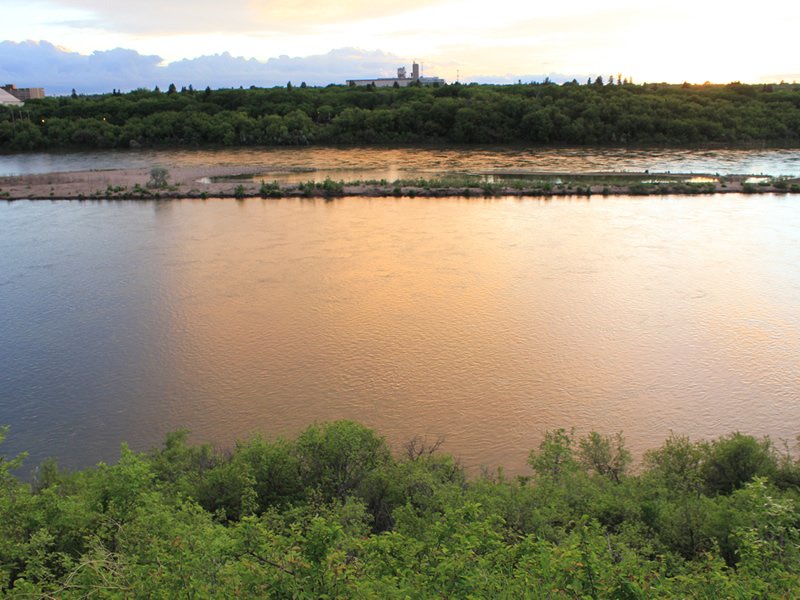 Long Weekend Campaign Raising Awareness of Impaired Boating dlvr.it/PcNH9s https://t.co/nqa9Hmn8gD