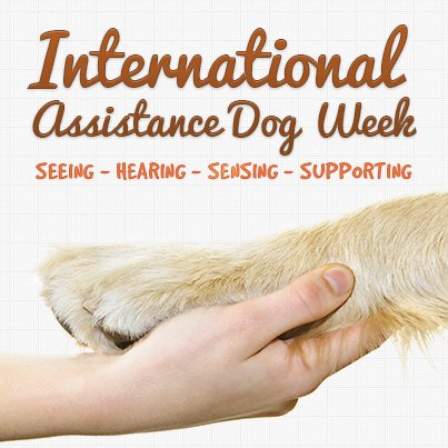 TroyAnimal's tweet photo. It's #InternationalAssistanceDog Week! Retweet about your assistance dog to show to the world how much you love them! https://t.co/Z7fe0hXMJ7