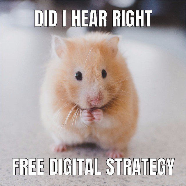 WebPage_Traffic's tweet photo. Claim your your FREE Digital Marketing Strategy by clicking the link here https://t.co/NYW4mGqFal

#DigitalMarketing #WebTraffic #SEO https://t.co/qbm67WPIVf