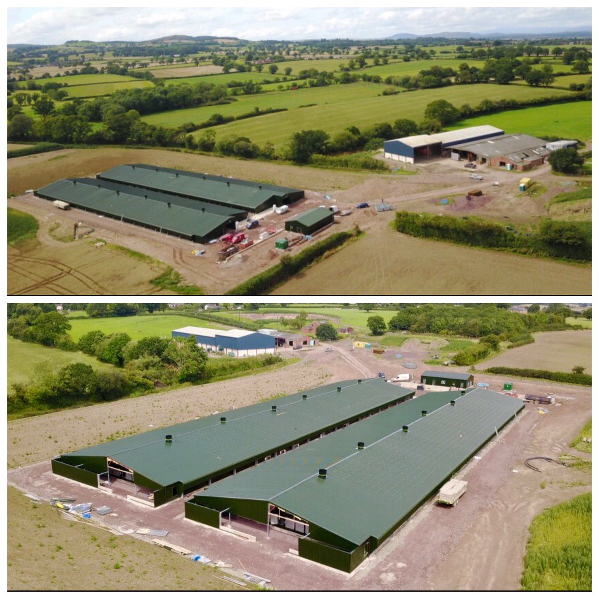 Brian Moxon tweet media