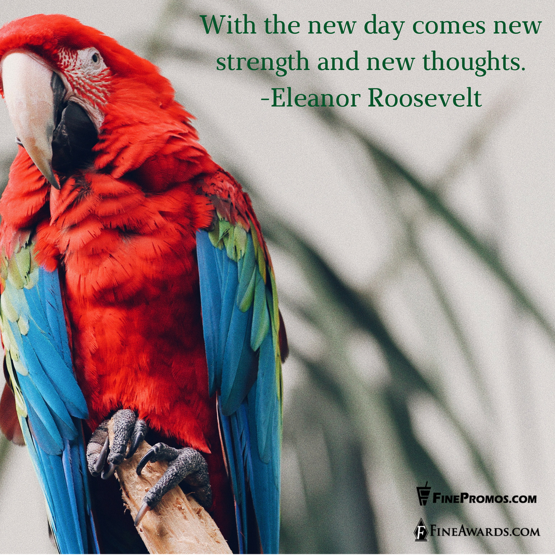 fineawards's tweet photo. #HappyMonday What Motivates You?

#MotivationalMonday #EleanorRoosevelt #Motivation #Strength #FineAwards #FinePromos https://t.co/10z1MIlu9g