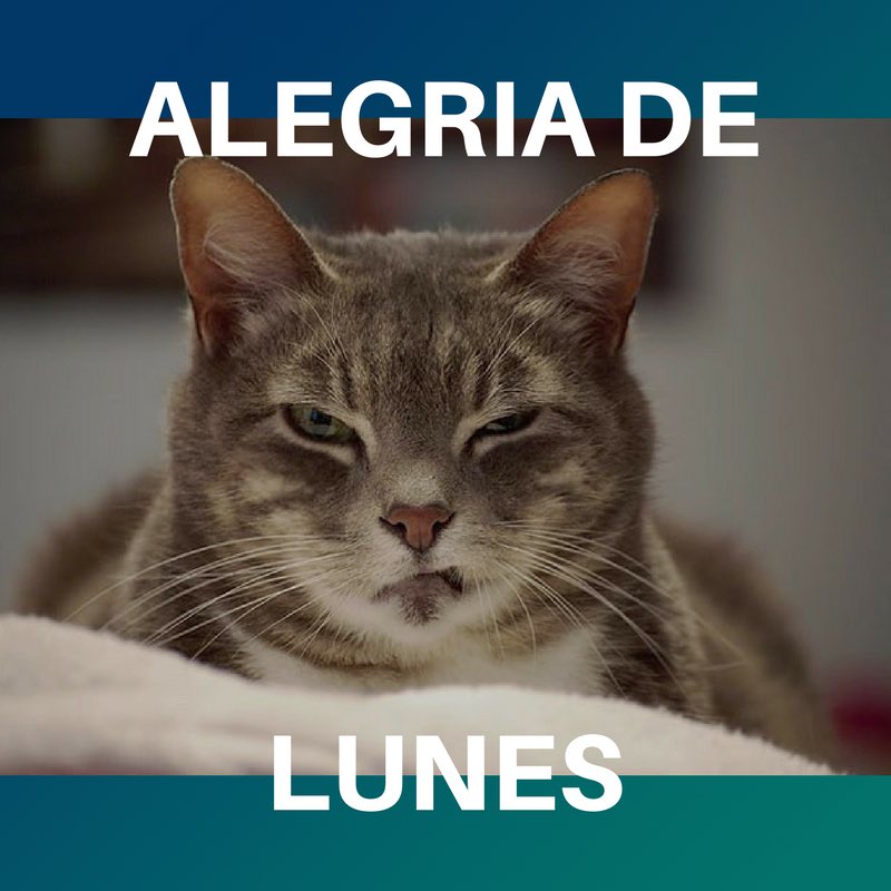 Que alguien apague la loz y volvamos a dormir. 😴 #BuenLunes