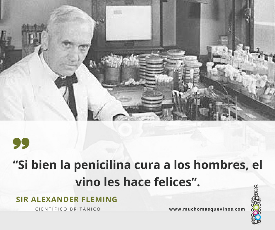 MMQDrinks's tweet photo. Hemos hecho una recopilación de frases, proverbios, refranes acerca del #vino: https://t.co/ADXoNmy7B3

#winelovers #winemoments https://t.co/76zm0Cc4Z2