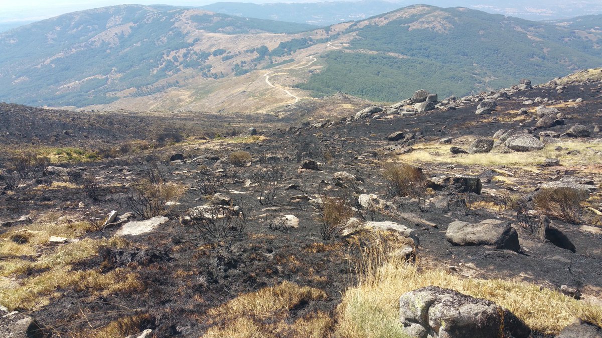 PLANINFOEX's tweet photo. Continuamos trabajando en #IFAcebo, más concretamente en el pico #Jálama. Terreno y acceso complicado. #PlanInfoex #IIFF https://t.co/eAvE196J4Q
