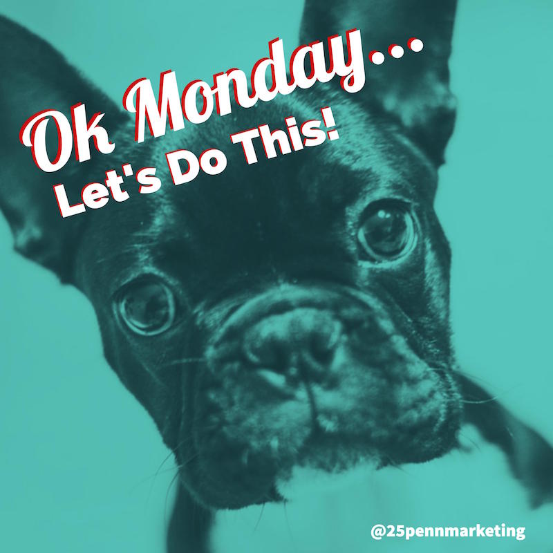 25PennMarketing's tweet photo. Let's go! #MondayMorning #MondayMotivaton #nottheweekend #mondaymourning #behappy #rt #dogsoftwitter https://t.co/bATKBXvXqb