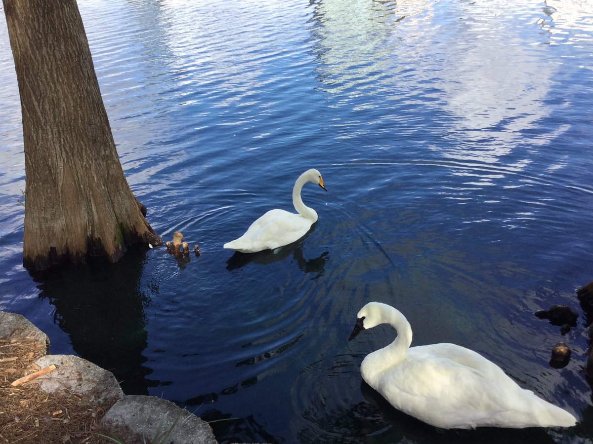 It's Monday, why do the weekends have to end?