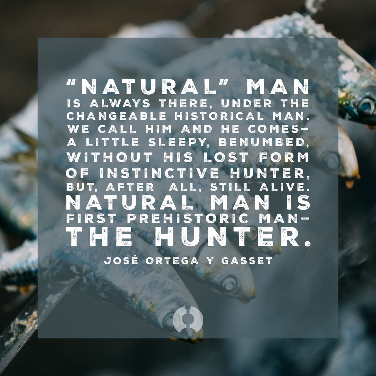 SurThrival's tweet photo. Sometimes we forget this amidst all of our modern conveniences. #motivationmonday #affirmationmonday #surthrival #ratherhuntgather https://t.co/GmIcEVtMdU