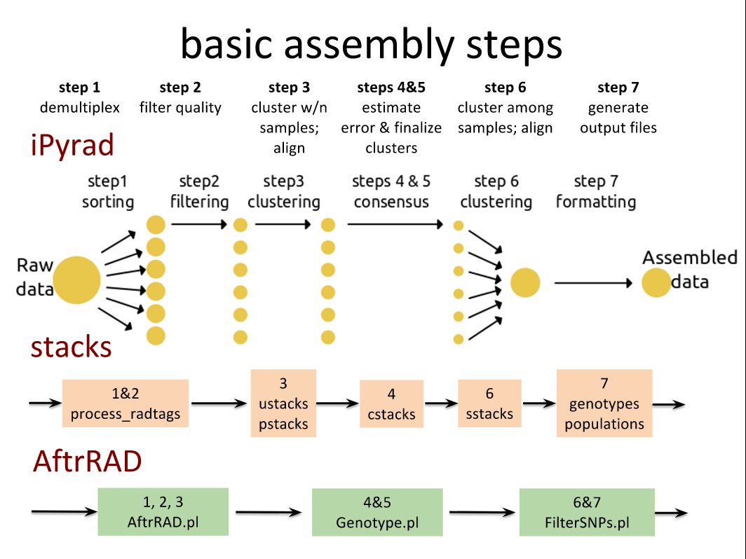frogsicles's tweet photo. We covered 3 pipelines & theory behind many types of RAD https://t.co/77bHsXTQqK #latinherps @LatinHerps .@patitepui @david_salazarv https://t.co/cGZ0WDd04N