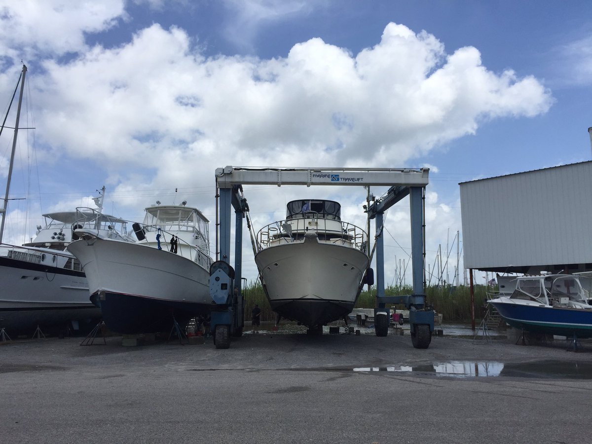 Haonavy's tweet photo. Back in the yard again... can't believe it. https://t.co/W6kc4RXluy