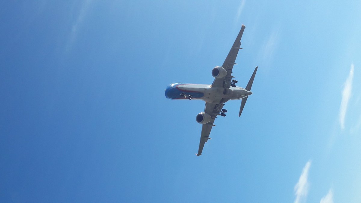 Poyo Rossi ✈ tweet media