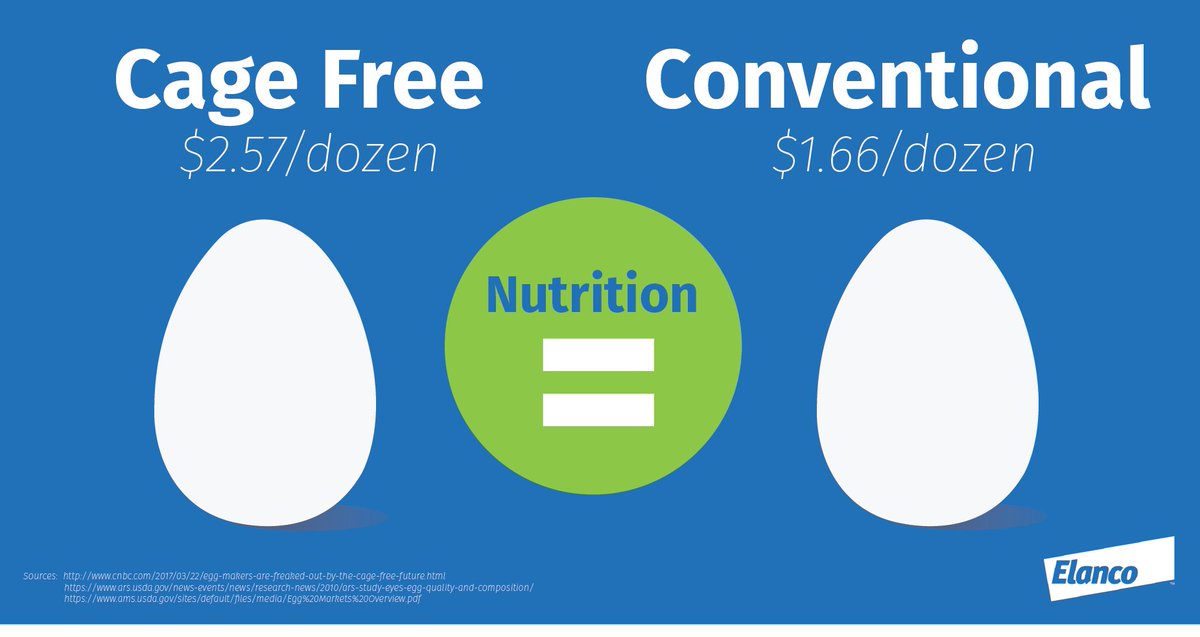Buy with confidence and save money. There is no nutritional difference between cage free eggs and conventional. #TruthAboutFood