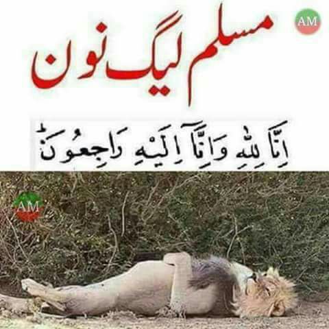 hammadAbbacee's tweet image. #DakuOnGTRoad