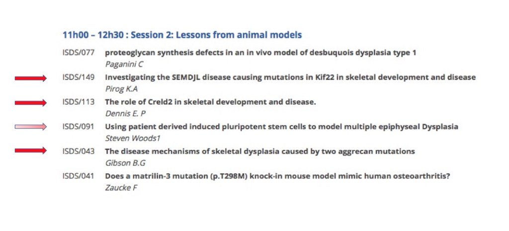 MD_Briggs's tweet photo. International Skeletal Dysplasia Meeting - the "Newcastle Session" #raredisease⦠https://t.co/DjsXmxTuGB https://t.co/aI96AFKhgu