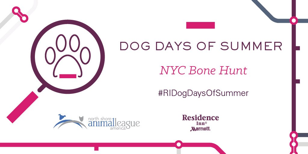 Andy's tweet photo. #NYC- Win a playdate w/ me &amp; @AnimalLeague! Be the first to fetch the treats I hid around town. Follow @ResidenceInn 4 clues. #Ad https://t.co/DIXx4WZaWY