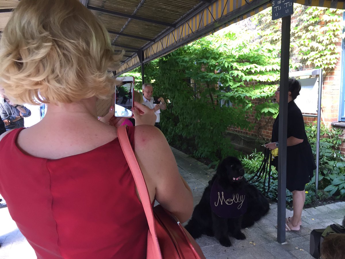 krikreu's tweet photo. Wer wird öfter fotografiert? #MichaelVolle oder die Neufundländer?Shooting vor den #Meistersingern der #BayreutherFestspiele #Franken https://t.co/ufJSetS1UL