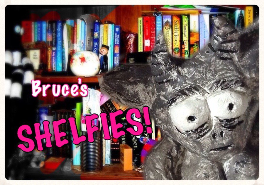 BruceGargoyle's tweet photo. Bruce’s Shelfies: We have come….to the end. https://t.co/uw1CB0Qfs5 https://t.co/jKAcxGvzEL