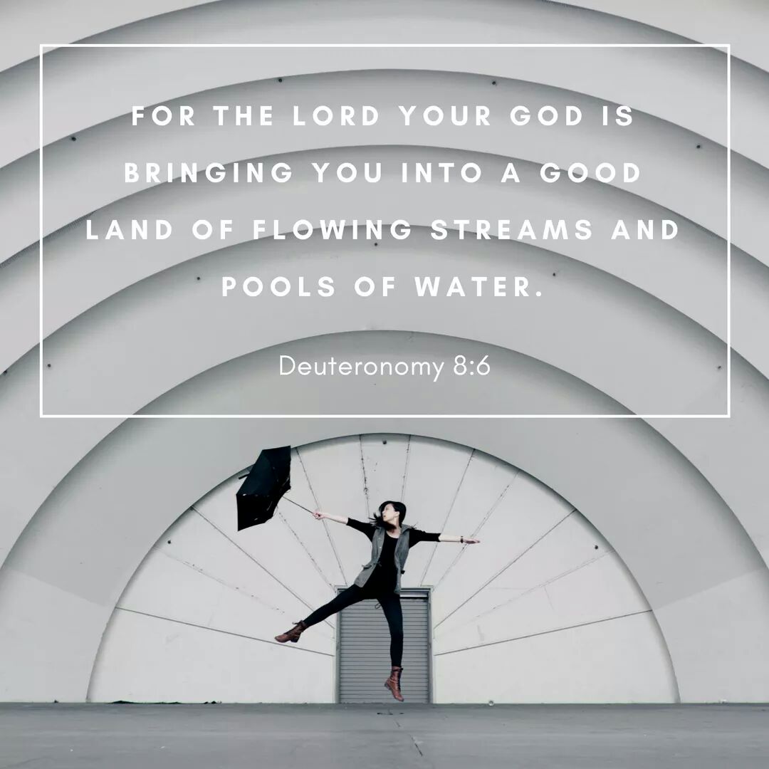 HeartlinePC's tweet photo. Verse of the week. #Hope #Help #Heartline https://t.co/LXu7gmtG1e