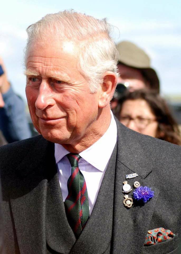 TheDigitalDG's tweet photo. #RotaryPin - I am so smitten to see that Prince Charles wear his ROtary pin with pride. Let's all do that - every day https://t.co/A6RVJPGws2
